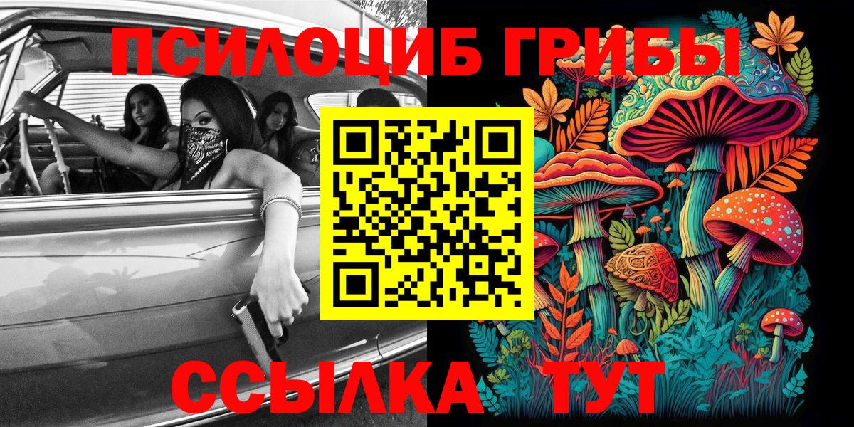 Галлюциногенные грибы Psilocybine cubensis Узловая