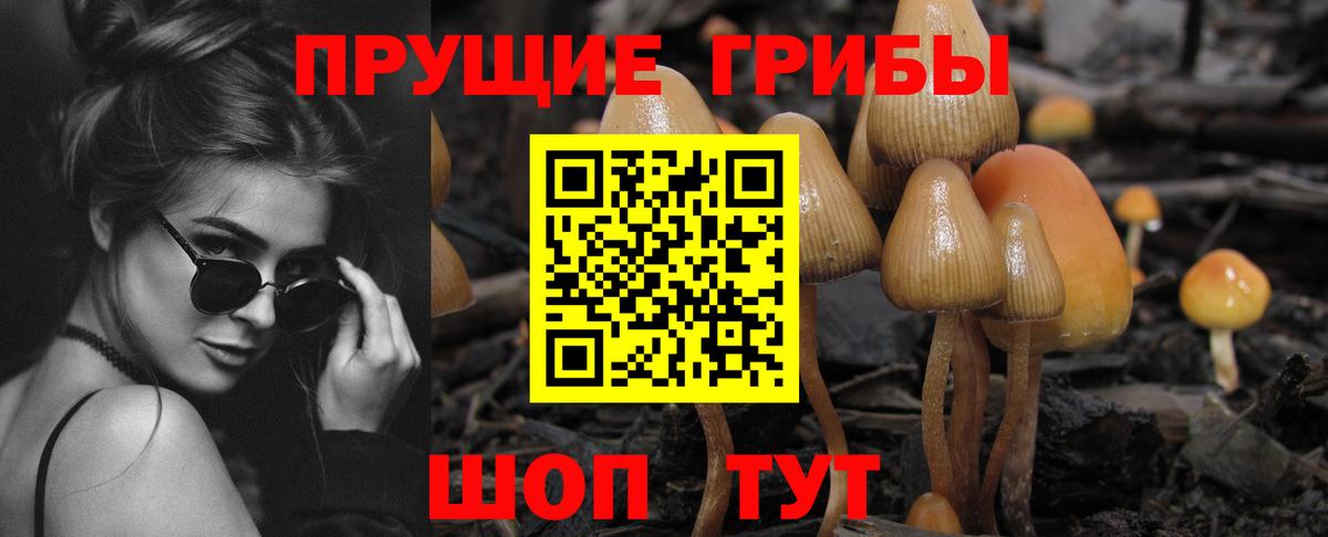 Псилоцибиновые грибы мицелий  Галлюциногенные грибы Cubensis  Узловая  где можно купить   Вход с VPN 